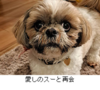 写真:愛しのスーと再会