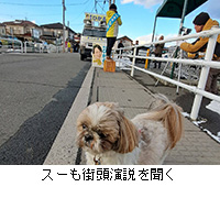 �ʐ^�F�X�[���X�������𕷂�