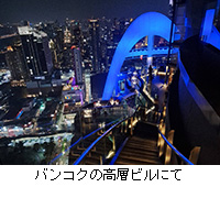 �ʐ^�F�o���R�N�̍��w�r���ɂ�