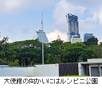 �ʐ^�F��g�ق̌������ɂ̓����s�j����