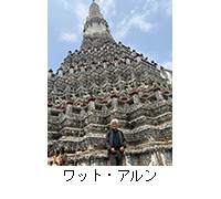 �ʐ^�F���b�g�E�A����