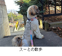 �ʐ^�F�X�[�Ƃ̎U��