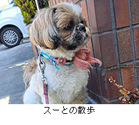 �ʐ^�F�X�[�Ƃ̎U��