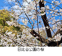 �ʐ^�F����J�����̍�