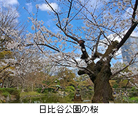 �ʐ^�F����J�����̍�