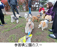 �ʐ^�F�Q�{�������̃X�[