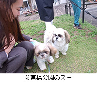 �ʐ^�F�Q�{�������̃X�[