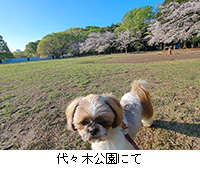 �ʐ^�F��X�،����ɂ�