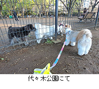 �ʐ^�F��X�،����ɂ�