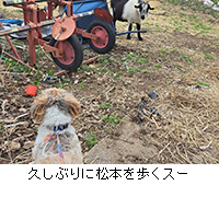 �ʐ^�F�v���Ԃ�ɏ��{������X�[