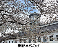 �ʐ^�F�J�q�w�Z�̍�