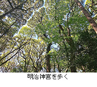 �ʐ^�F�����_�{�����