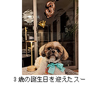 �ʐ^�F3�΂̒a�������}�����X�[