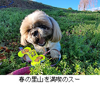 �ʐ^�F�t�̗��R�𖞋i�̃X�[