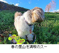 �ʐ^�F�t�̗��R�𖞋i�̃X�[