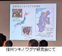 �ʐ^�F�M�B�c�L�m���O�}������ɂ�