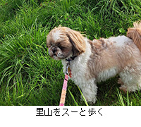 �ʐ^�F���R���X�[�ƕ���