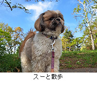 �ʐ^�F�X�[�ƎU��