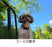 写真:スーとの散歩