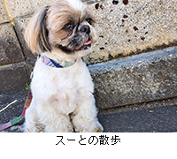 �ʐ^�F�X�[�Ƃ̎U��