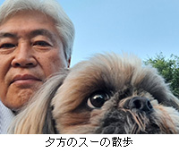 �ʐ^�F�[���̃X�[�̎U��