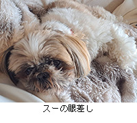 �ʐ^�F�X�[�̊፷��