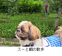 �ʐ^�F�X�[�ƒ��̎U��