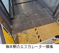 �ʐ^�F�F�{�w�̃G�X�J���[�^�[����
