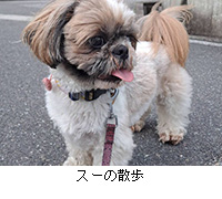 �ʐ^�F�X�[�̎U��
