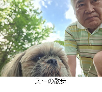写真:スーの散歩