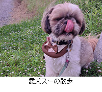 �ʐ^�F�����X�[�̎U��