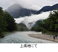 写真:上高地にて