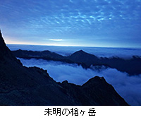 �ʐ^�F�����̑����x