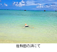 写真:佐和田の浜にて