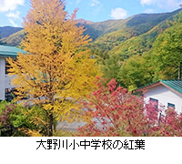 写真:大野川小中学校の紅葉