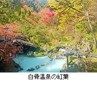 写真:白骨温泉の紅葉